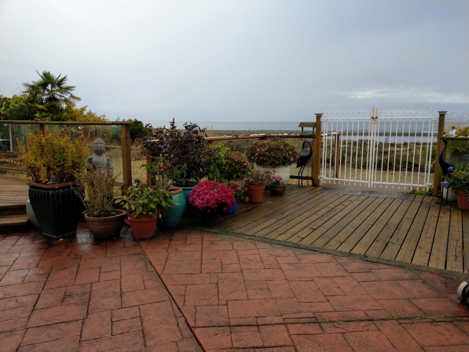 Gartenanlage Hotel Buena Vista by the Sea