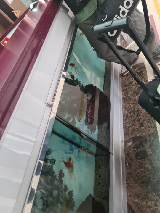 Zimmer MLL Mediterranean Bay - Adults only