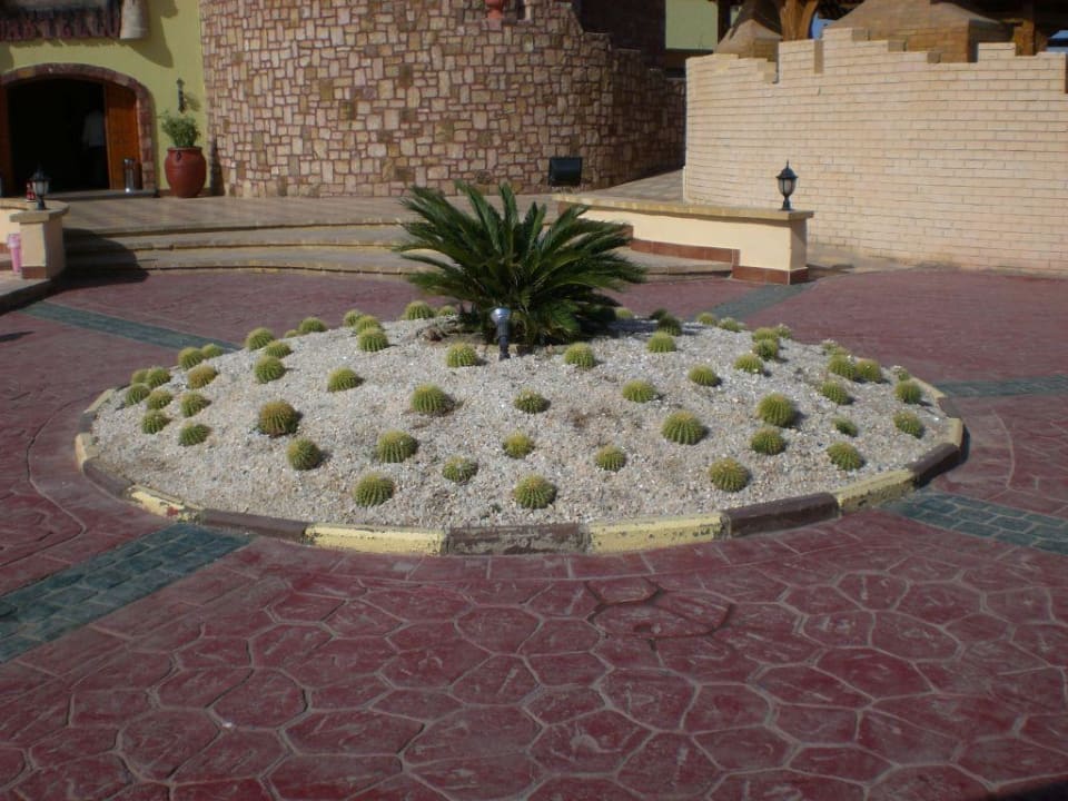 Vor dem Castello Pickalbatros Dana Beach Resort - Hurghada