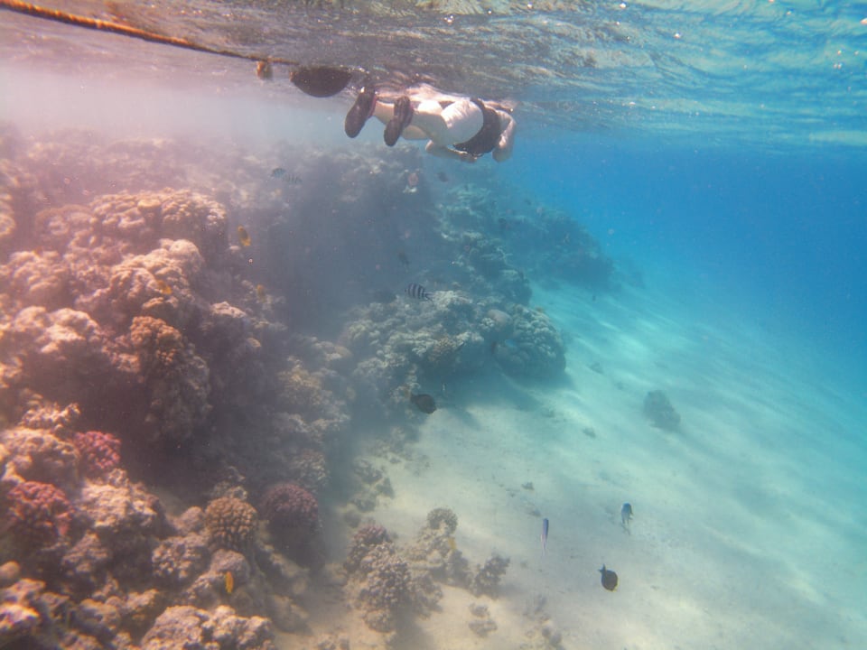 Strand Stella Beach Resort & Spa Makadi Bay