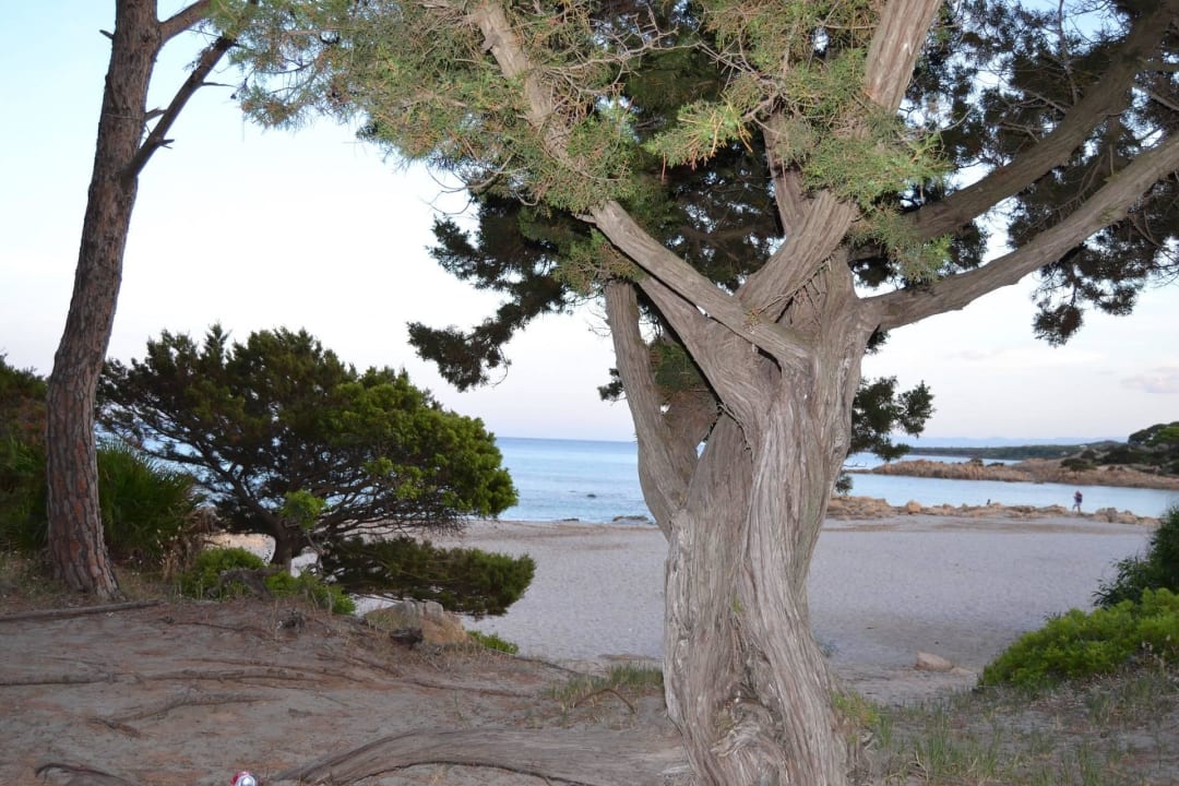 Cala Liberotto Haus 555 - Ausblick Sardafit Nr. 555a - Surfer's Traumhaus an zwei Sandstränden