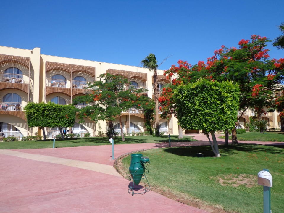 Zimmer außen Desert Rose