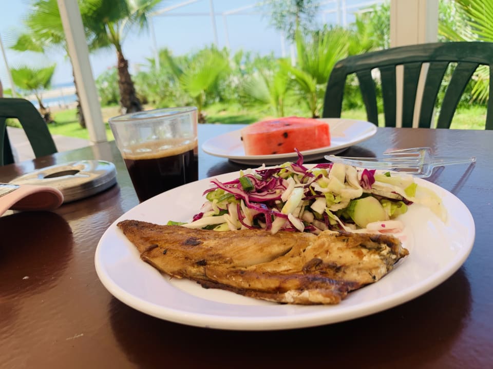 Gastro Hotel Orfeus Park