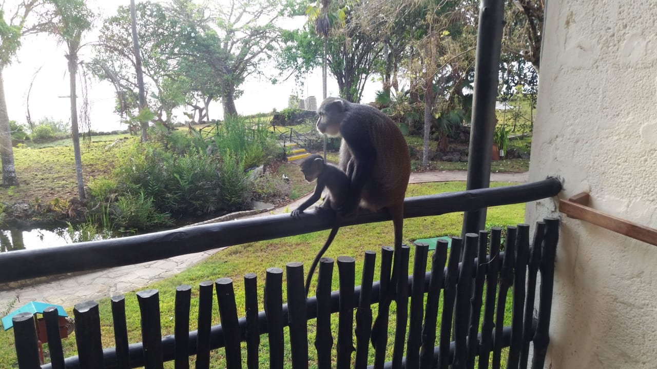 Hotel Baobab Beach Resort Baobab Beach Resort & Spa