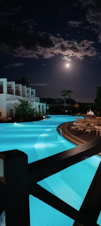 Ausblick Paloma Pasha