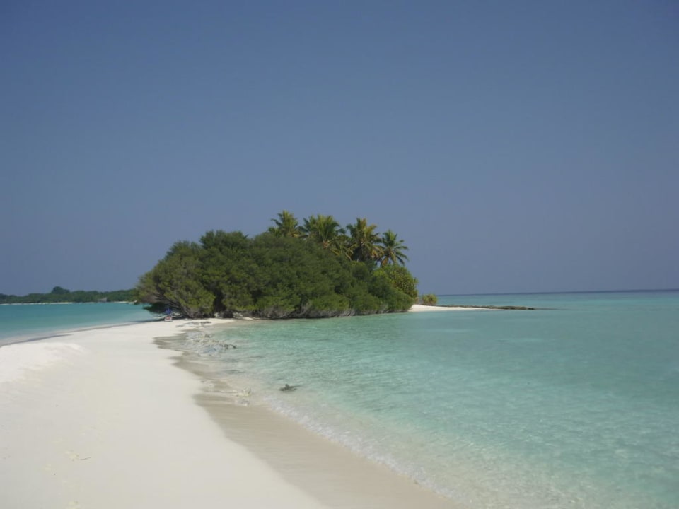 Sandbank Kuramathi Maldives