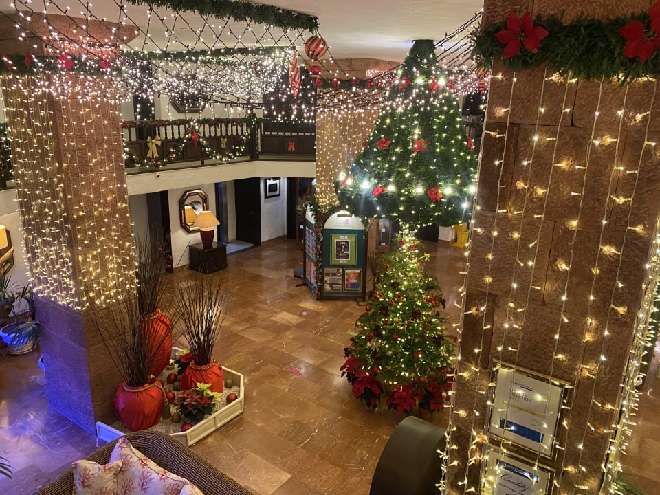 Lobby Hotel Parque Tropical