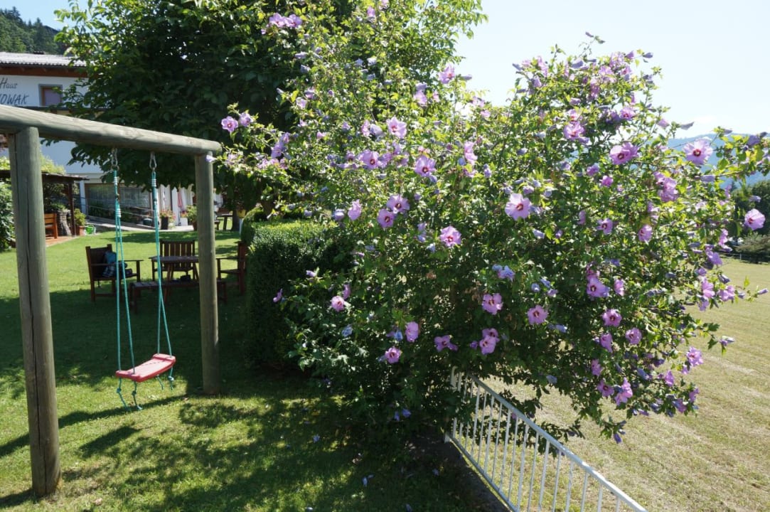 Gartenanlage Haus Nowak Ferienwohnung