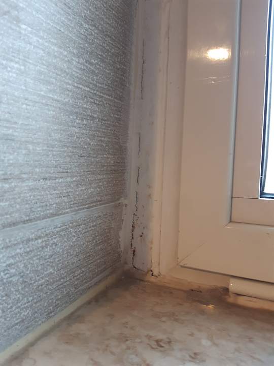 Zimmer Kamelya Aishen Club