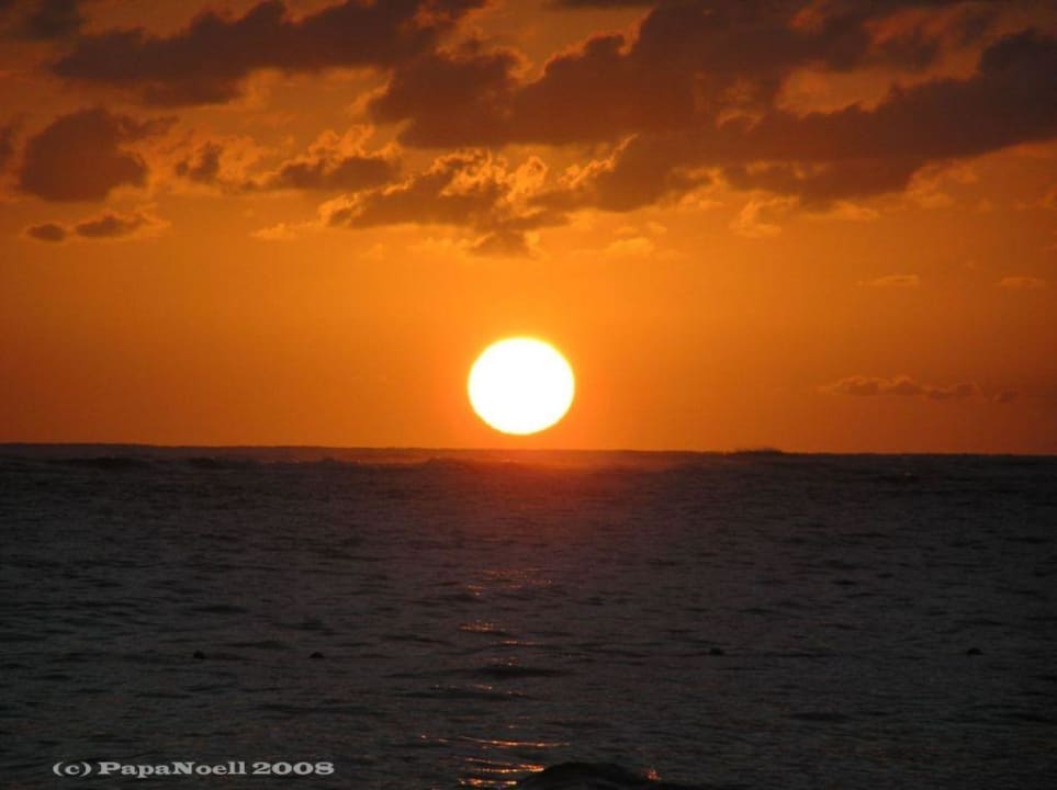 Absolut geil! Grand Palladium Select Bávaro Resort & Spa