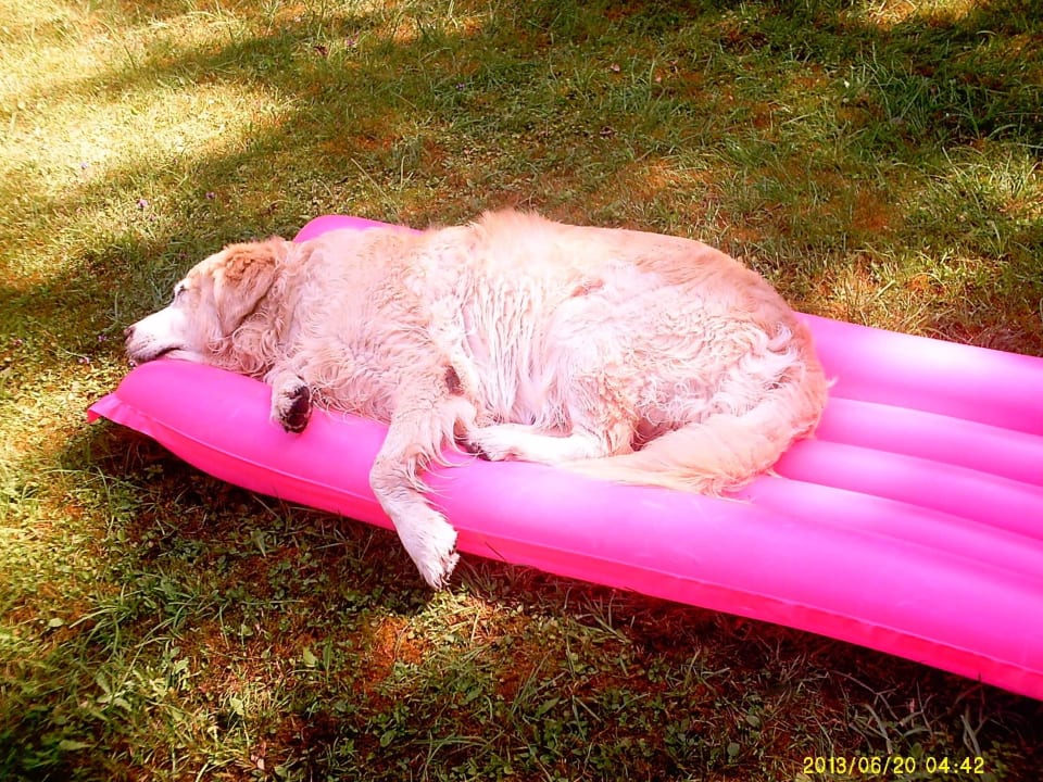 Urlaub Haus Ase - Urlaub am Bauernhof