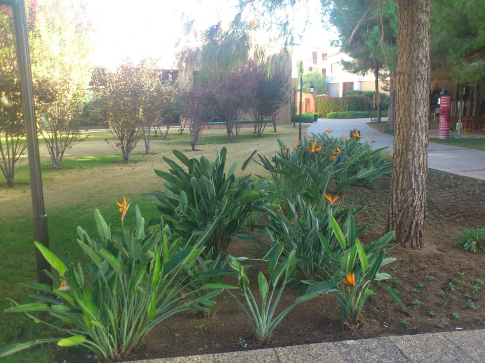 Beete Voyage Belek Golf & Spa