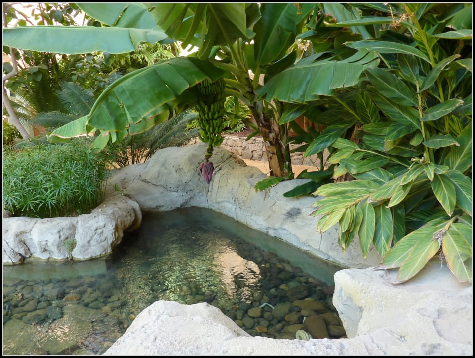 Sehr idyllisch angelegt Hotel Cordial Mogán Playa