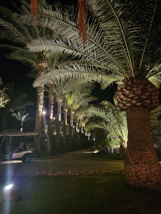 Gartenanlage Fort Arabesque Resort, Spa & Villas