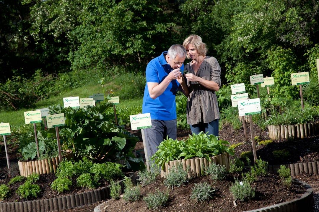 Gartenanlage Hotel Herz-Kreislauf-Zentrum Groß Gerungs