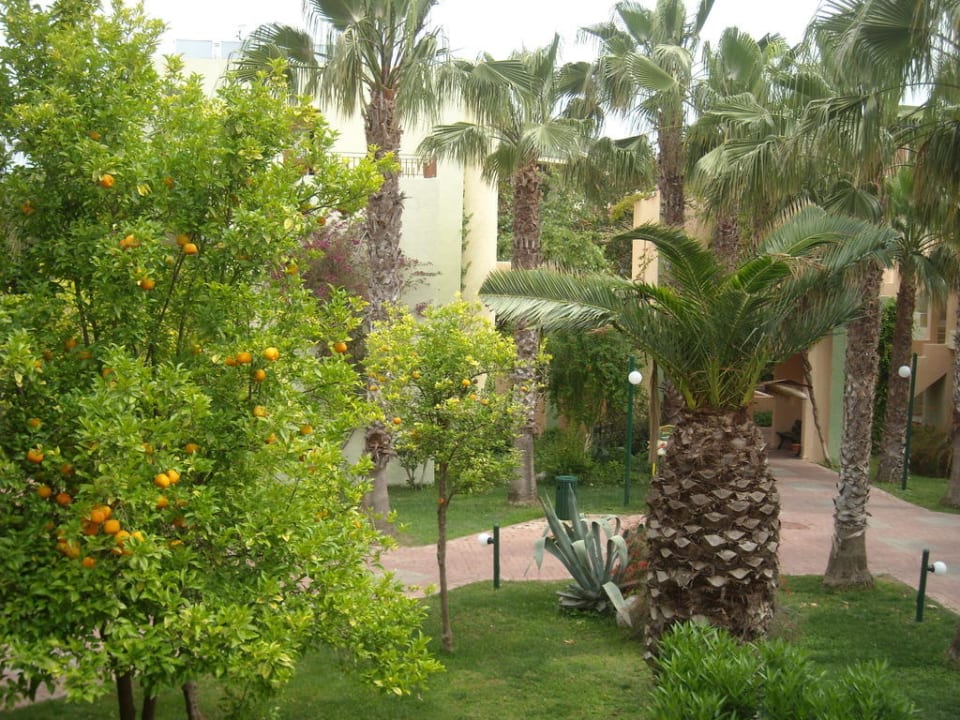 Schöne Gartenanlage VONRESORT Golden Beach