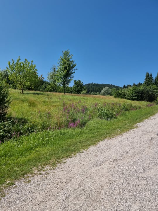 Ausblick Aldiana Club Ampflwang