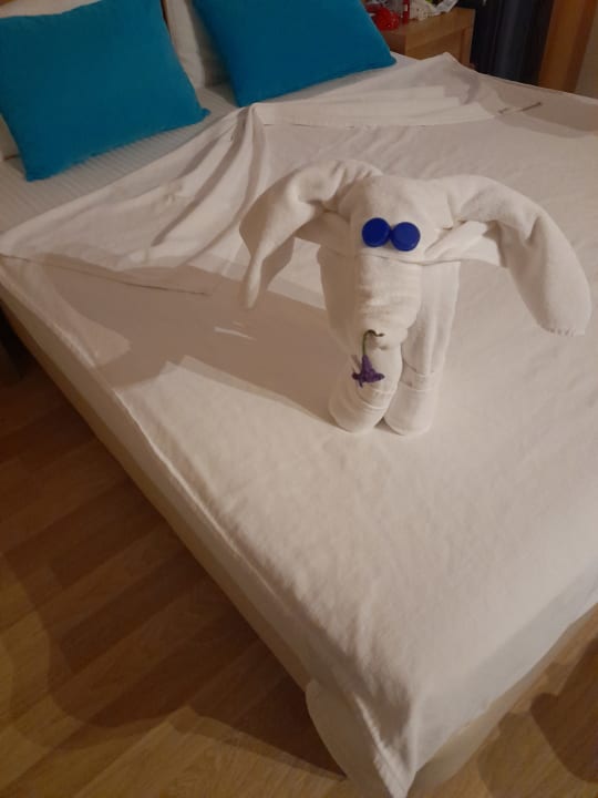 Zimmer Wyndham Garden Lara