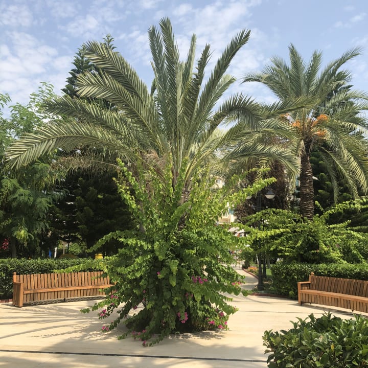 Gartenanlage Saphir Resort & Spa