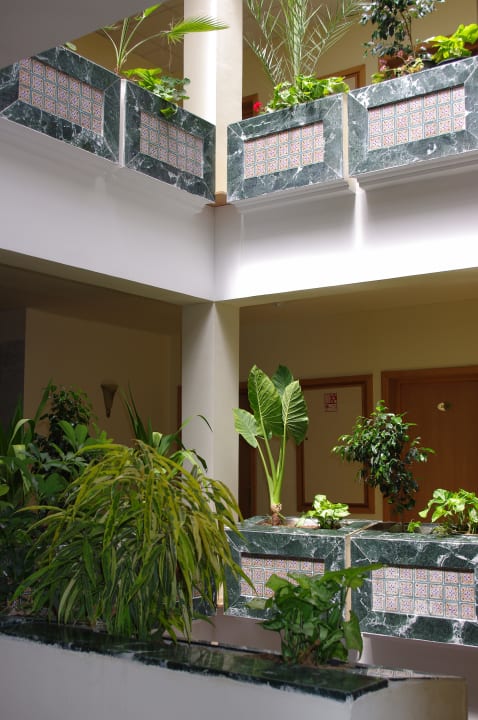 Jardin d'hiver chambre Hotel Royal Nozha