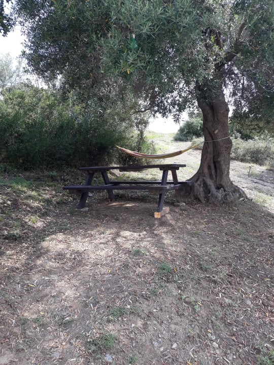 Sport & Freizeit GreenHill Holiday Suites Sarti