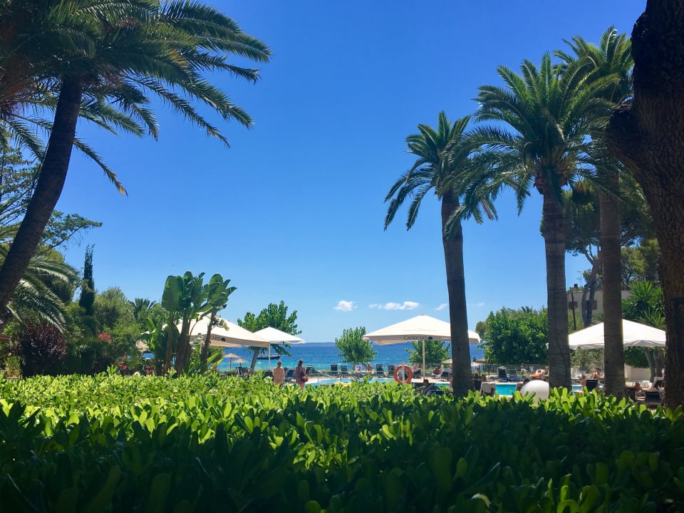 Pool Hotel Son Caliu Spa Oasis