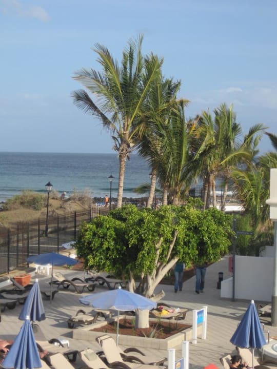 Art der Gartengestaltung Hotel Las Costas