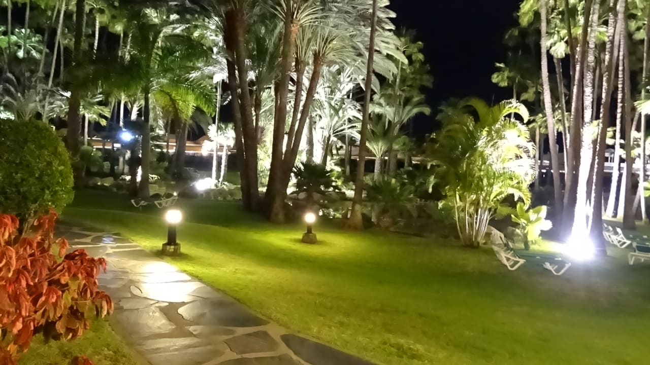 Gartenanlage Hotel Riu Palace Oasis