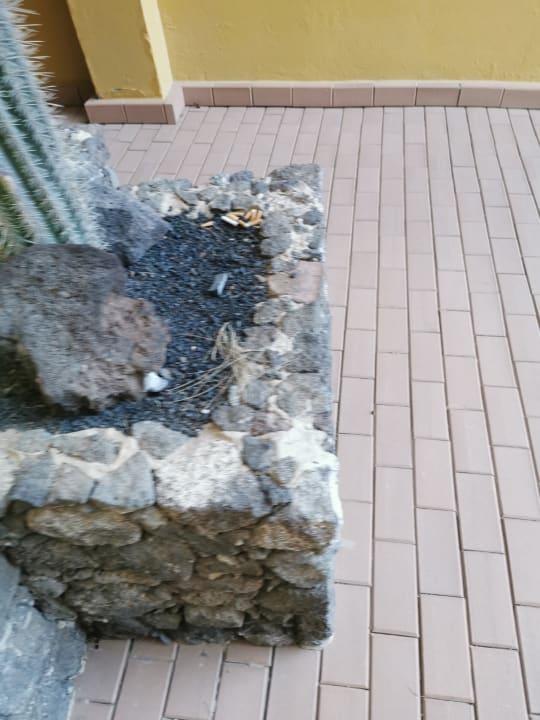 Sonstiges Occidental Jandía Royal Level - Adults only