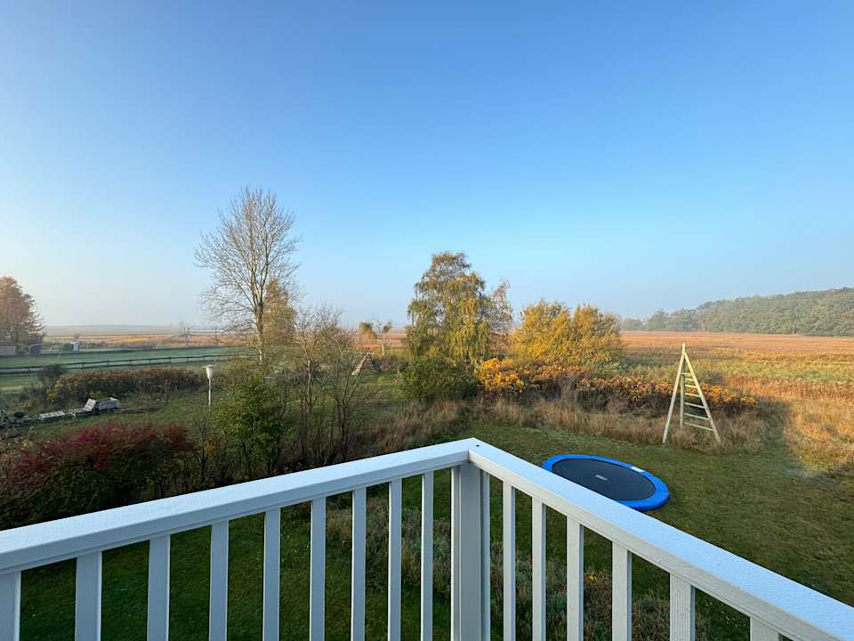 Ausblick Ferienhaus Möwenschiss