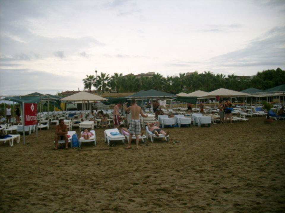 Strandabschnitt mit Liegestühlen Side Royal Paradise Hotel