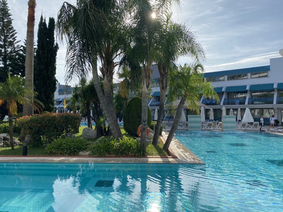 Pool Side Star Elegance