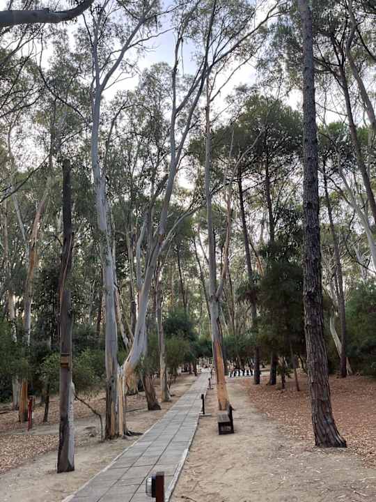 Gartenanlage TUI MAGIC LIFE Calabria