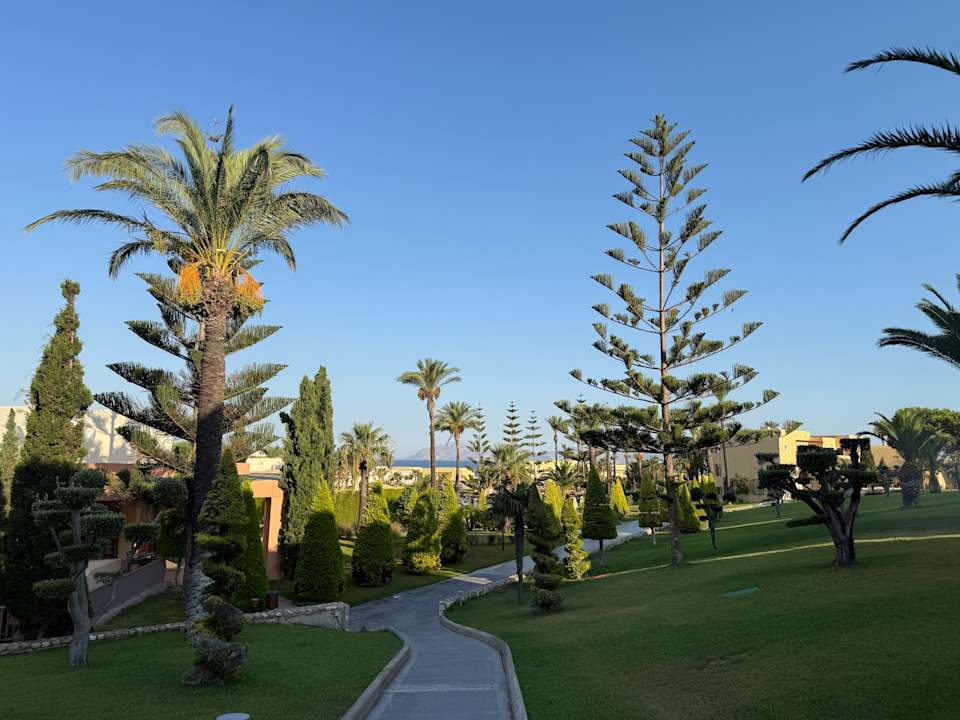 Gartenanlage Hotel Horizon Beach Resort