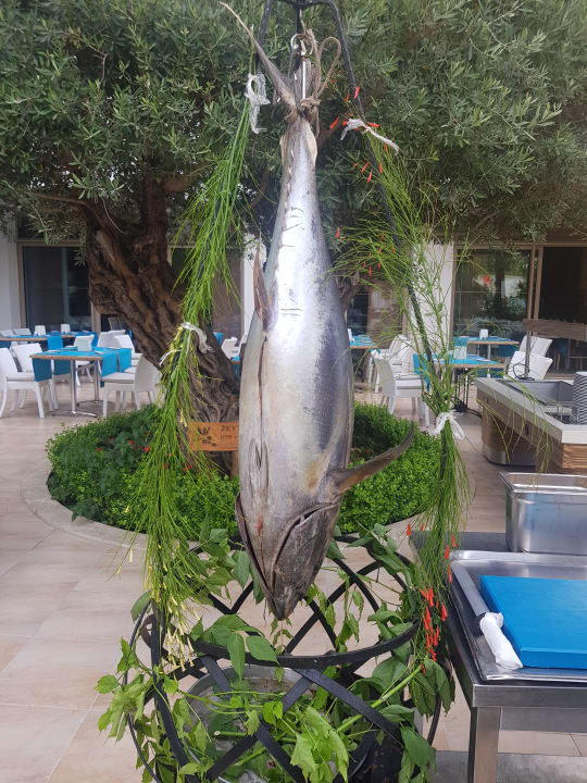 Gastro Port Side Resort Hotel