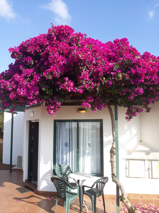 Zimmer Hotel HL Club Playa Blanca
