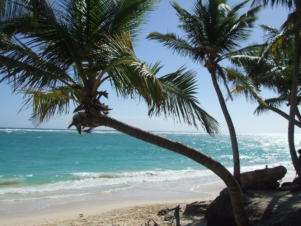 Postkartenmotiv  Grand Palladium Select Bávaro Resort & Spa