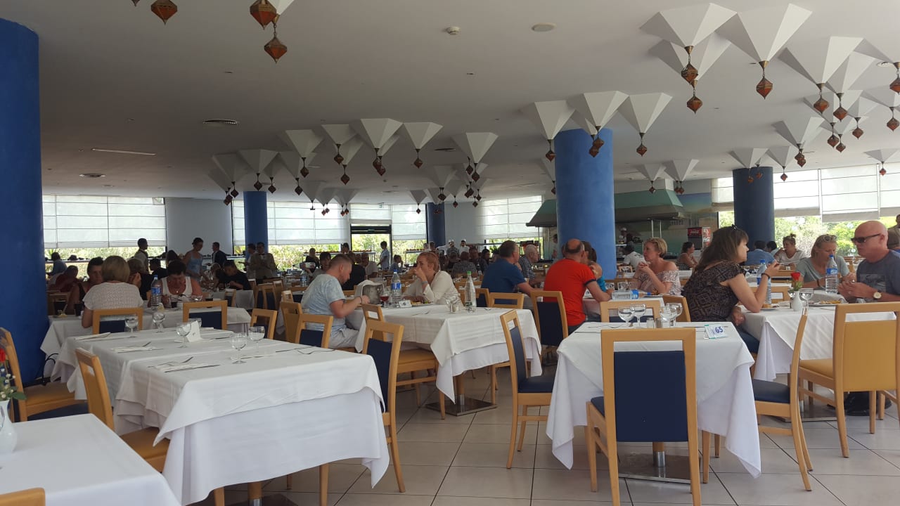 Gastro Sentido Phenicia