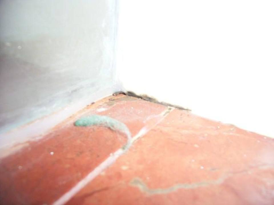 Schimmel Grand Palladium Select Bávaro Resort & Spa