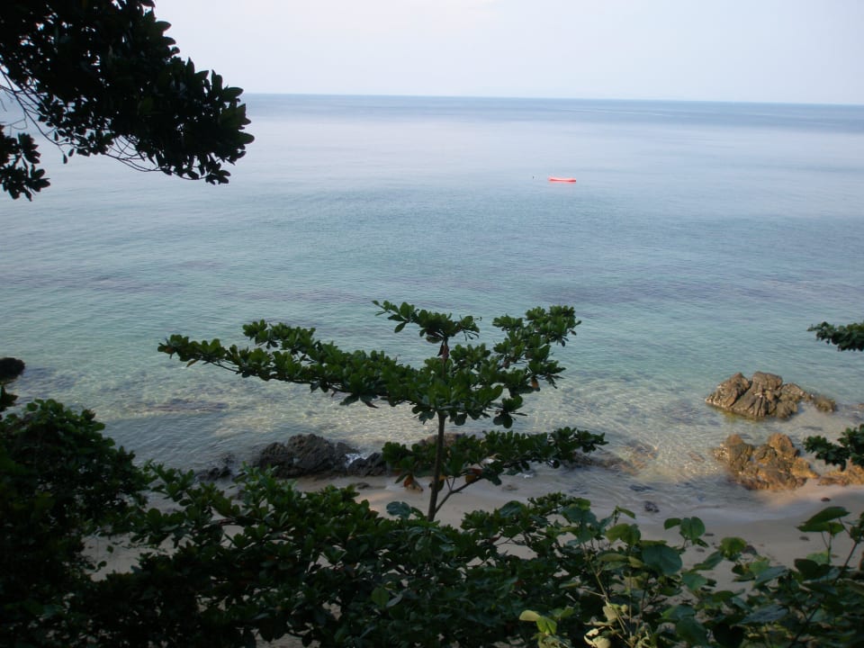 Ausblick von der Rezeption/Restaurant Bungalow Jungle Hill