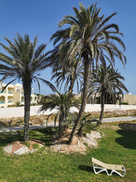 Ausblick Hotel Meninx Djerba