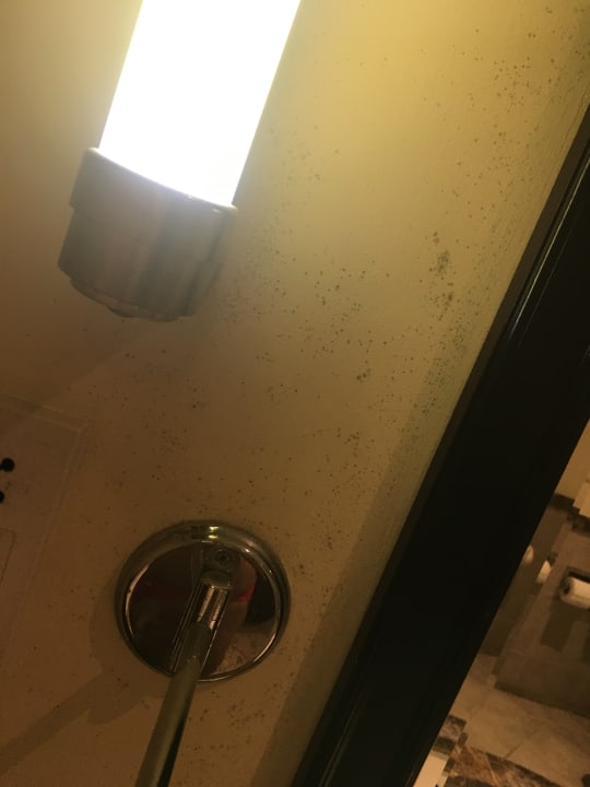 Zimmer Le Meridien Ile Maurice