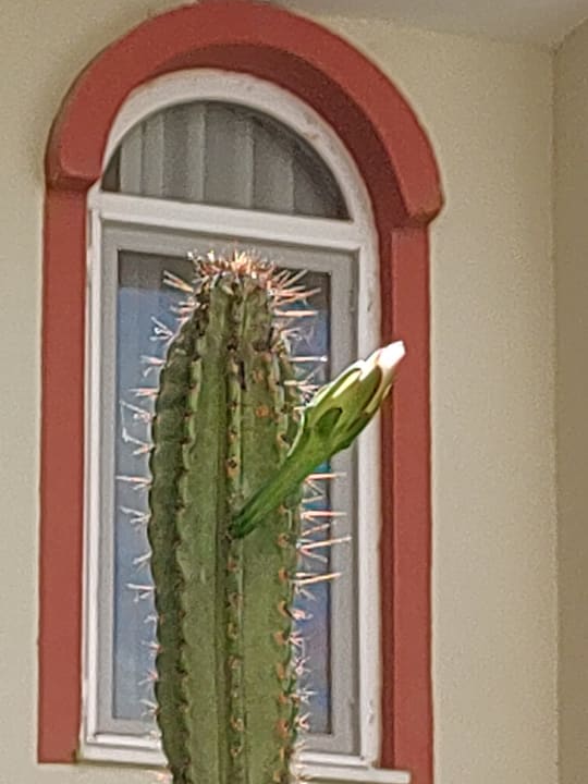 Ausblick Hotel Sirma