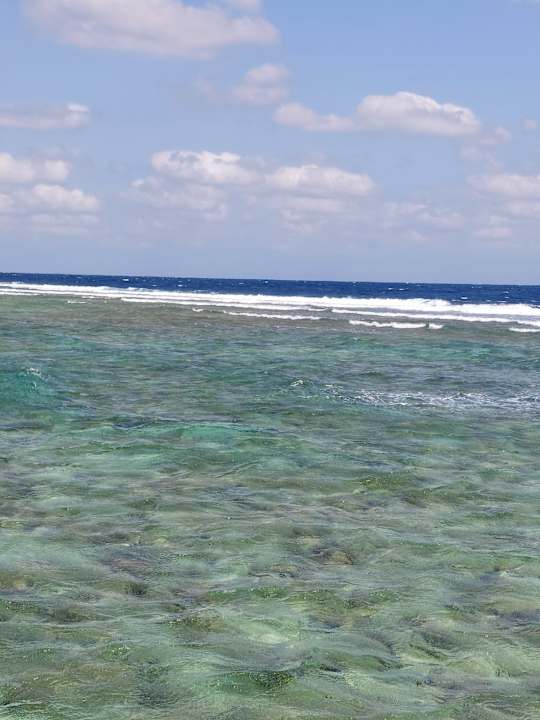 Strand Pickalbatros Palace Hotel-Port Ghalib