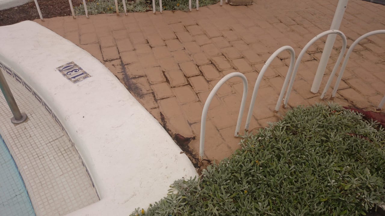 Nicht sehr gepflegt Lagos de Fañabé Beach Resort