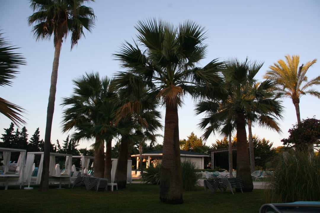 Palmy Hotel Cala Millor Garden - Adults only