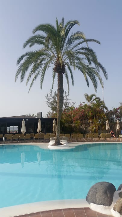 Am Pool Corallium Beach by Lopesan Hotels - Adults only