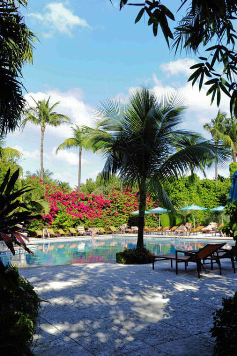 Pool The Palms Hotel & Spa