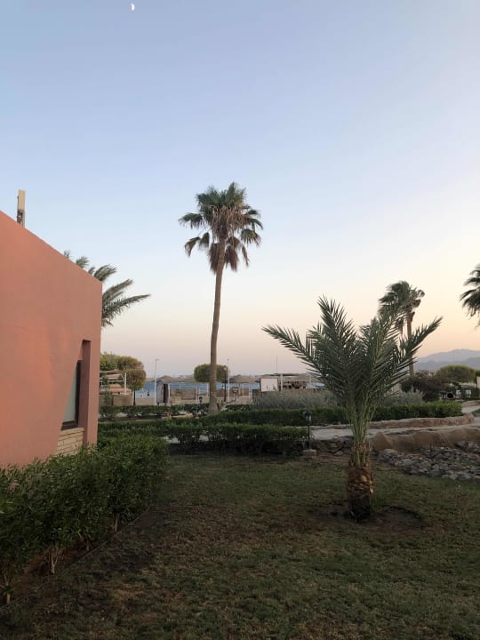 Gartenanlage Eagles Paradise Abu Soma