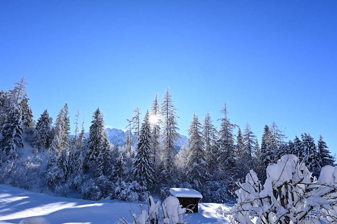 Ausblick CHALET Haus Martha